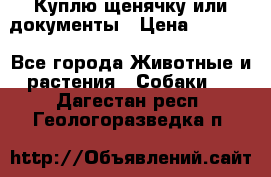 Куплю щенячку или документы › Цена ­ 3 000 - Все города Животные и растения » Собаки   . Дагестан респ.,Геологоразведка п.